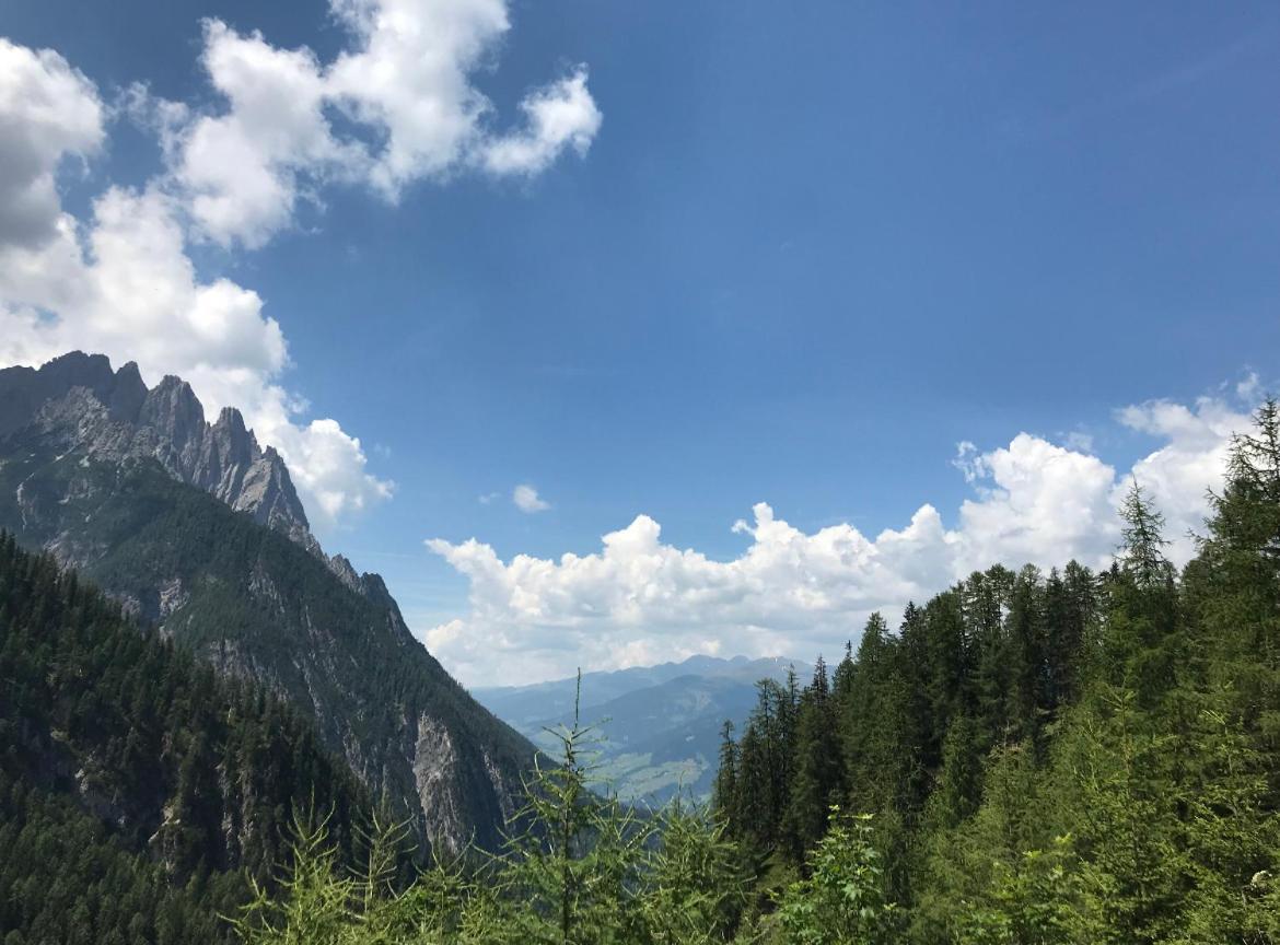 The Dolomiti View Apartment Debant Ngoại thất bức ảnh